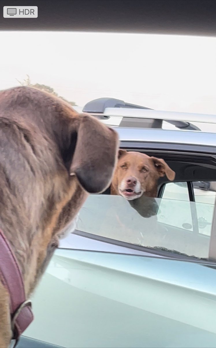 Brian X. Chen tweet media