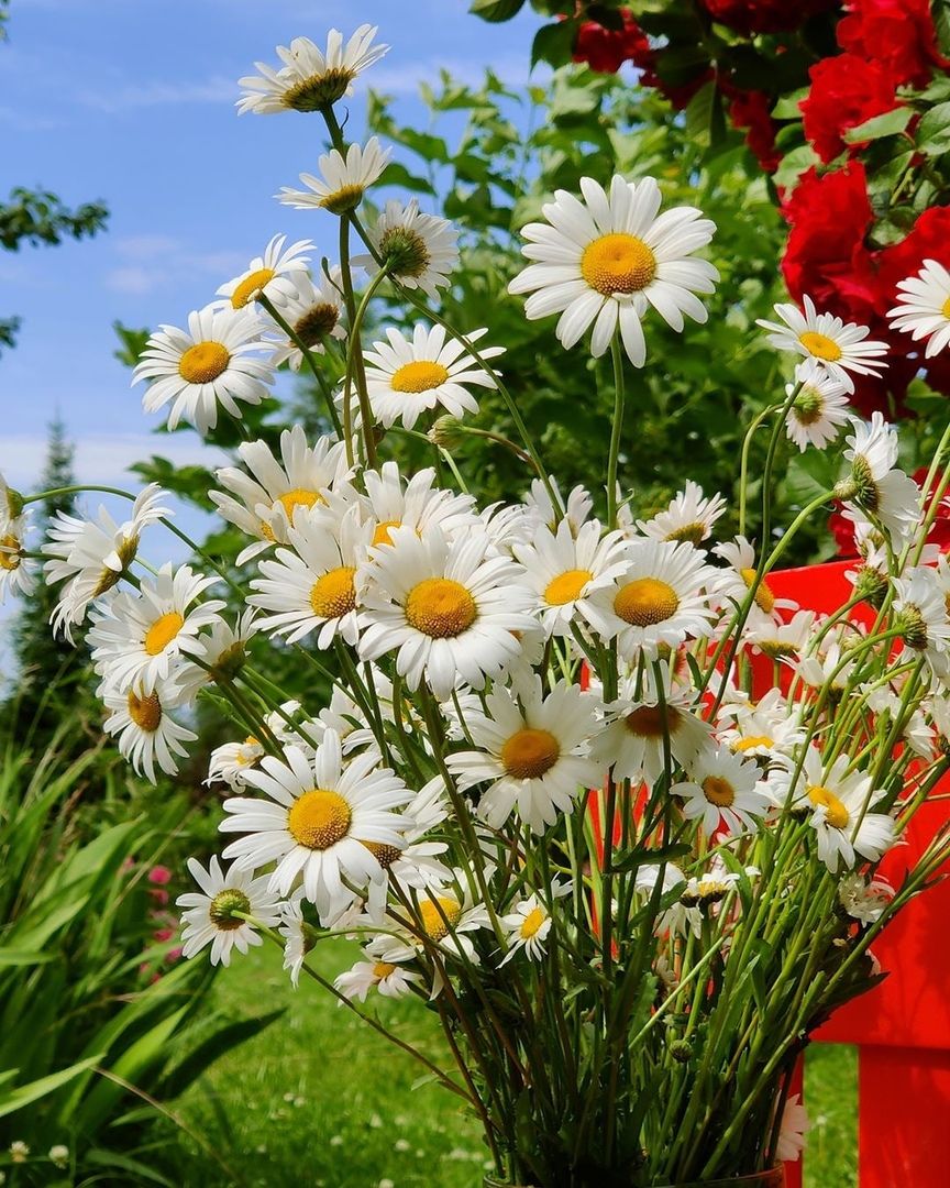 Утра, Страна моя)
Скучали?
Всем здравия, добра и мира! 
С любовью из Донбасса, ваша Ди😘