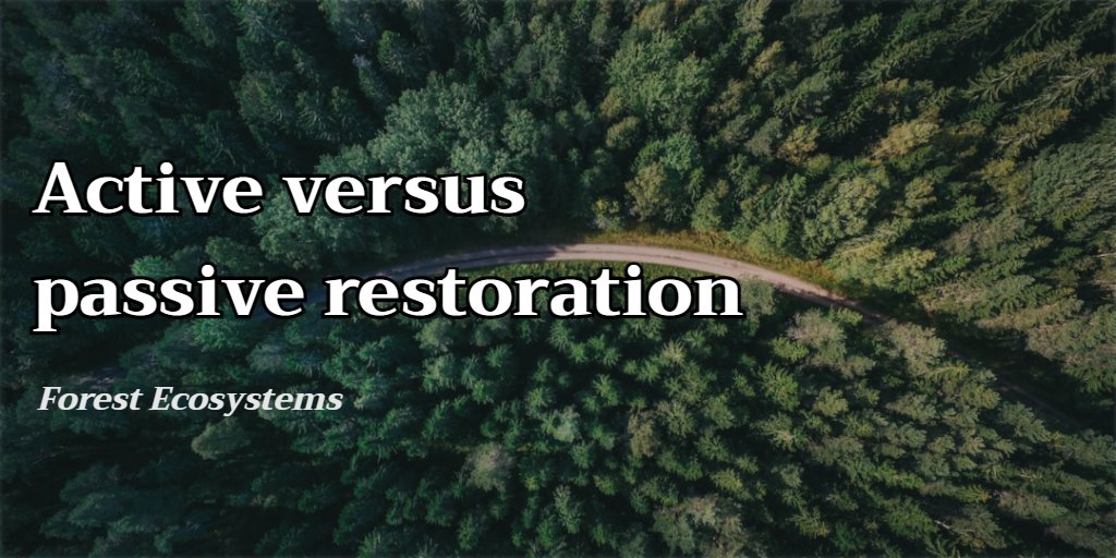 #Paper 🎉☕️
✅Does #lag time influence #forest #restoration and #management outcomes? 🤔more info⬇️please follow us🌷
✅sciencedirect.com/science/articl…