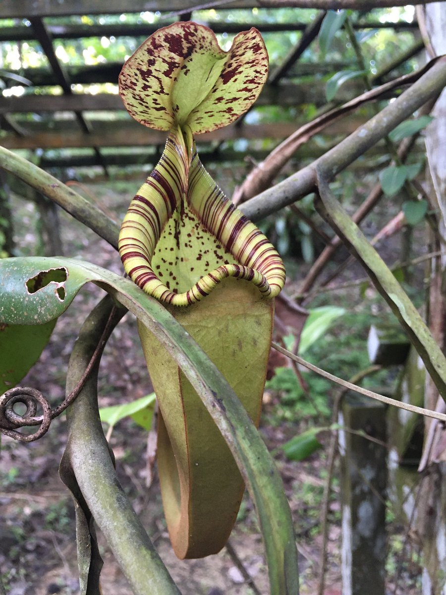 Jennifer Sheridan tweet media