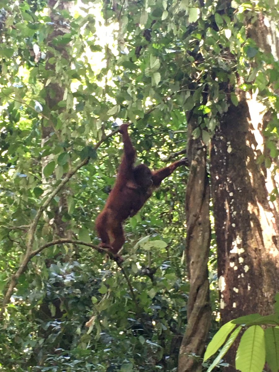 Jennifer Sheridan tweet media