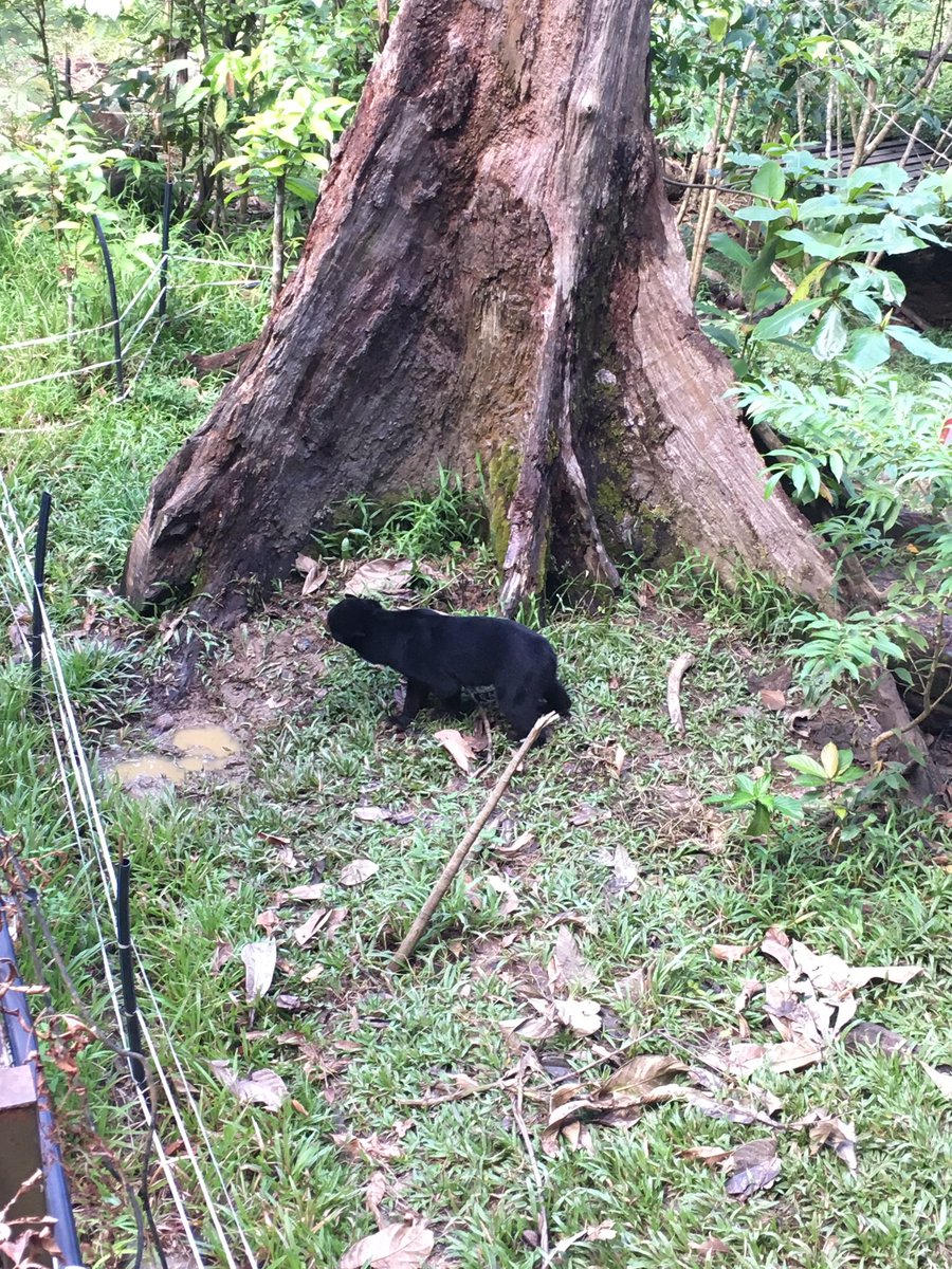 Jennifer Sheridan tweet media