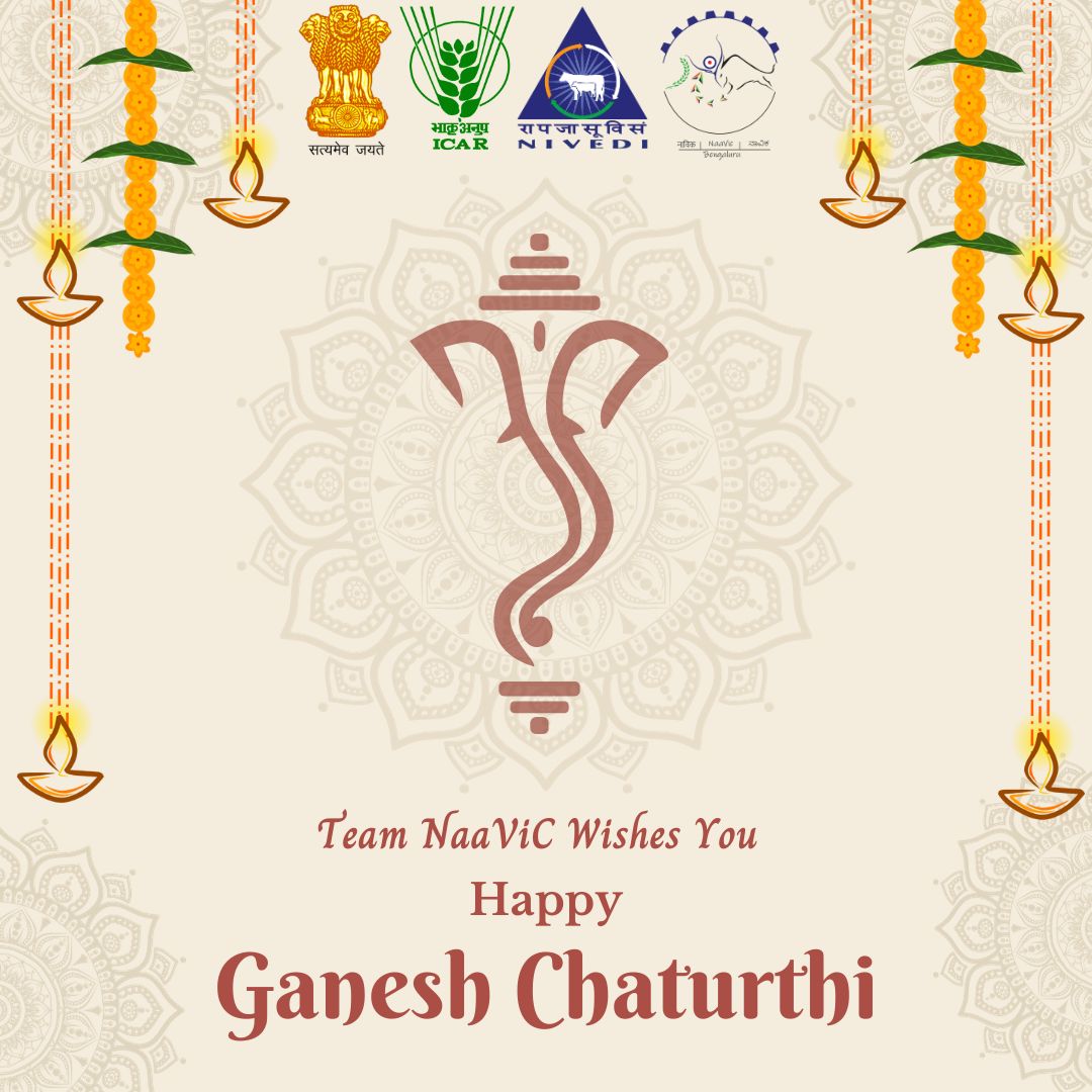 Ganpati Bappa Morya! May Lord Ganesha bless you with all the happiness &amp; success. Team NaaViC wishes everyone a Happy Ganesh Chaturthi. ✨.
.
.
.
.
#ganeshfestival2023 #festival #ganaptibappamorya