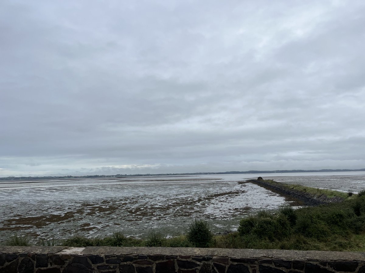 Petroc Trelawny (@petroctrelawny) on Twitter photo Farewell Strangford. On to Lough Neagh for Wednesday’s <a href="/BBCRadio3/">BBC Radio 3</a> Breakfast #R3NIBreakfast <a href="/WWTCastleEspie/">WWT Castle Espie</a> Farewell Strangford. On to Lough Neagh for Wednesday’s <a href="/BBCRadio3/">BBC Radio 3</a> Breakfast #R3NIBreakfast <a href="/WWTCastleEspie/">WWT Castle Espie</a>