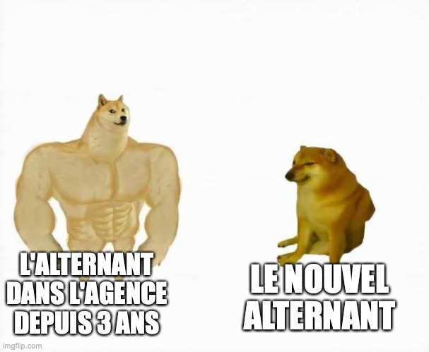 Et vous comment se passe votre nouvelle alternance ?
#alternance #étudiant #formation #Memes
