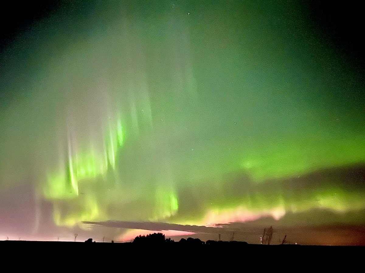 Bunsen, Beaker, Bernoulli & Brix tweet media