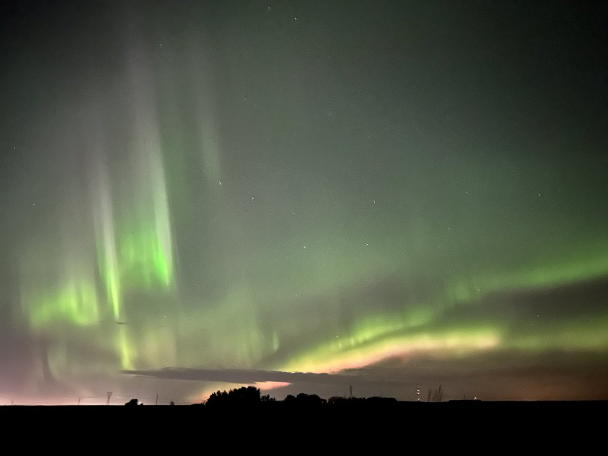 Bunsen, Beaker, Bernoulli & Brix tweet media