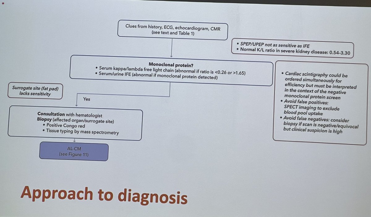AnastasiaSMihai's tweet photo. @NthSydHealth #RNSH Grand Rounds very proud of our Cardiology department Dr Michael Ward & #RisingStar @DrElleRye @thecsanz #WIC 👏👏👏

💥case presentation Dr Rye  & 🔑 to diagnosis & treatments for #amyloidosis 

@Ravinay @rebeccakozor @thecsanz @drsonyaburgess @SwatiMu49337009 @lund_mayanna