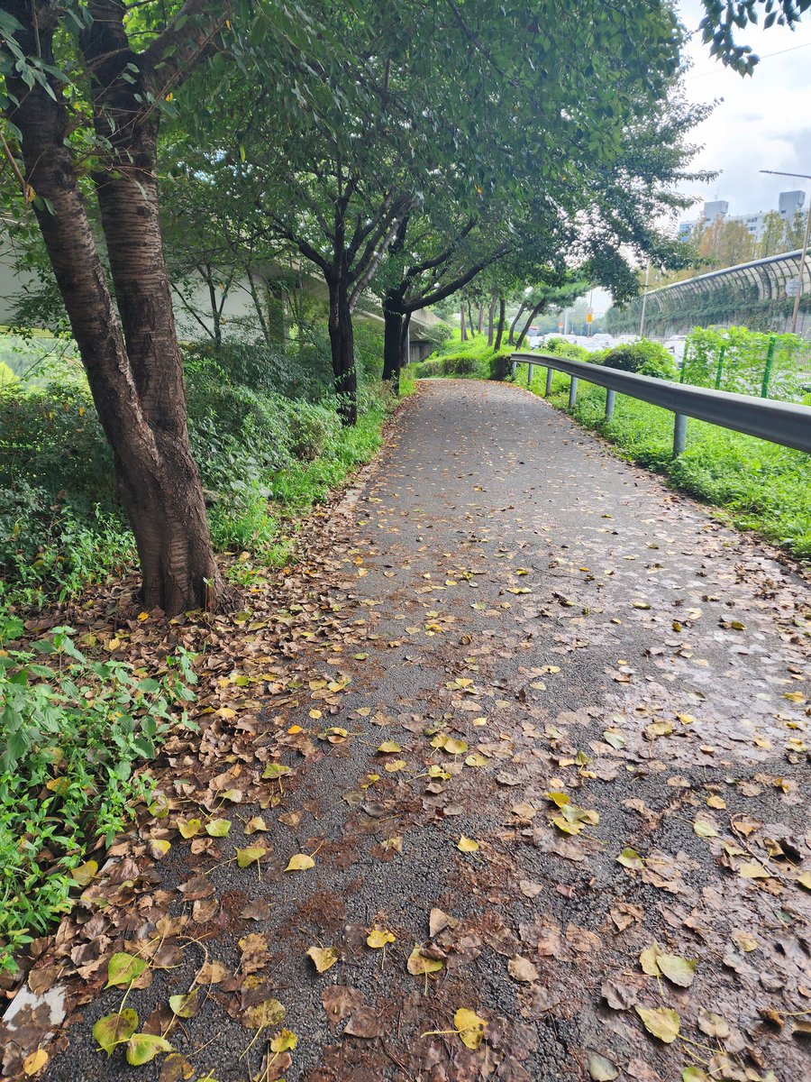 huk8960's tweet photo. 여름이뒤로가고 가을이 앞으로오고있네요.
난 항상그대로있을줄알았는데 시간의 흐름은 막을수 없는것같네요 ㅎ
가을이라 그런가 쓸쓸함이 마음속깊게 느껴지네요. 나와 함께 동행할 애기는 어디즘오고있을까요~~
마조 펨섭 커플섭 환영해요.
라인 hye 8960 https://t.co/RJTbhnXS40