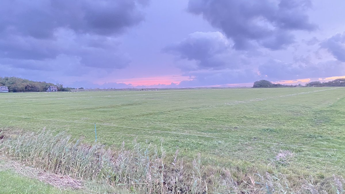 Goedemorgen uit een winderig Texel.