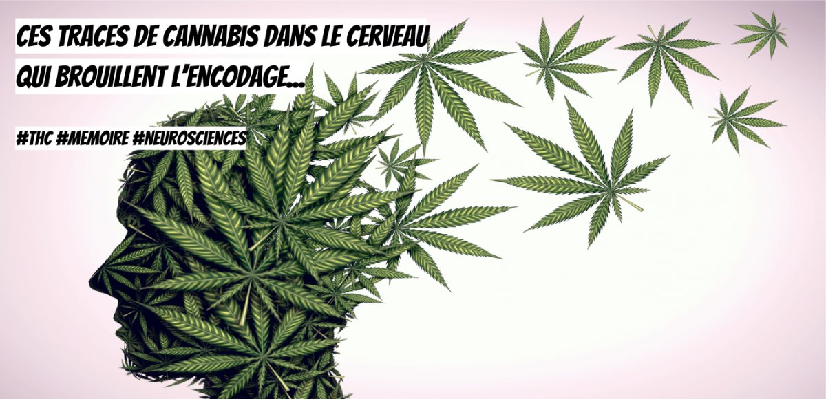 MAAD Digital tweet media