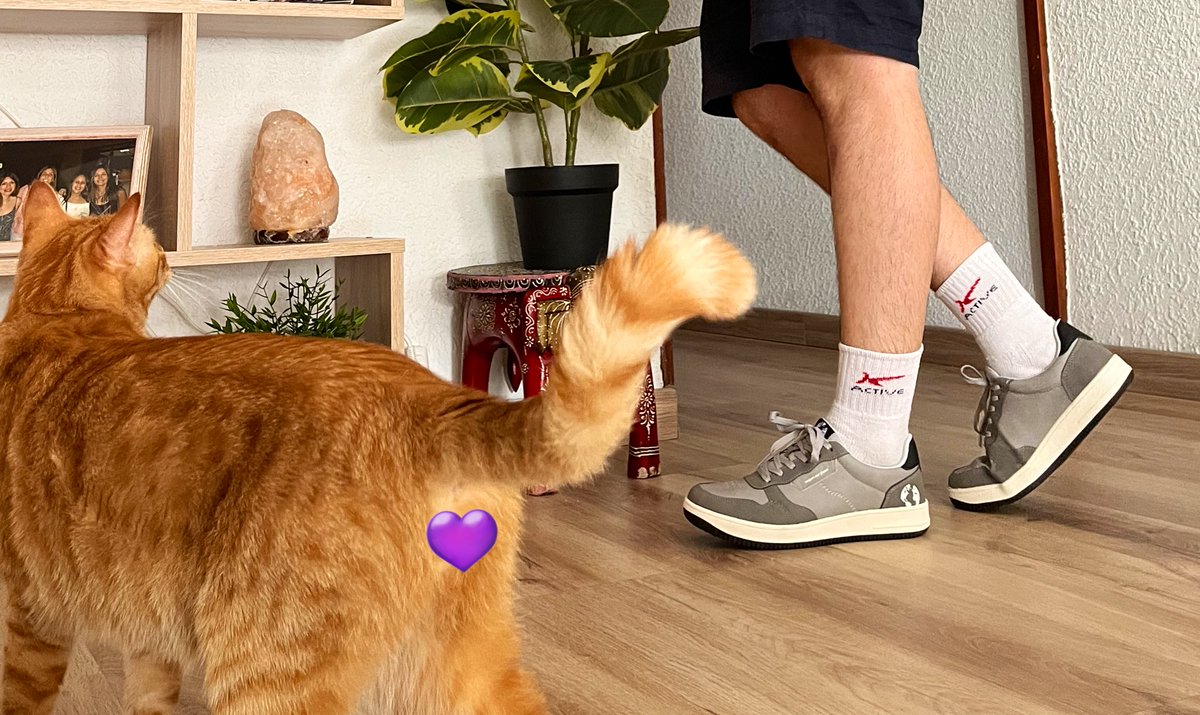 Trenco la dinàmica habitual del meu compte per dir que estic maravillada amb les zapas sostenibles de l’Aldi 😱 Calçat fet a partir del reciclatge d’ampolles de plàstic, xulíssimes i còmodes. Per a dona no hi ha d’aquest model (vaja 😒) però la meva parella i el gatet estan 😍