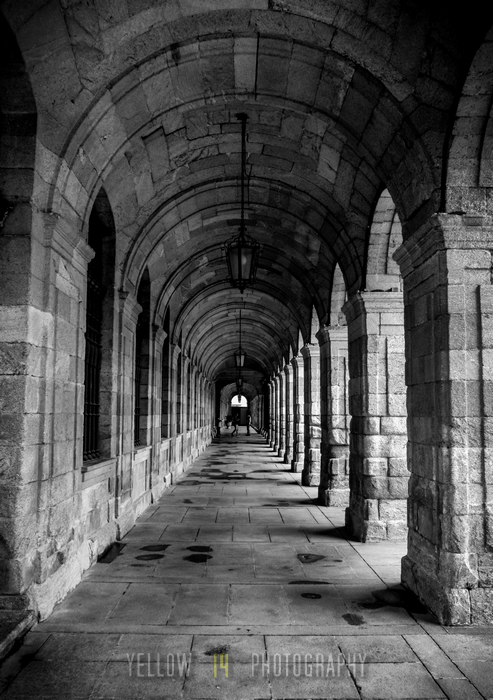 Yellow14Photog1's tweet photo. Colonnade, Santiago de Compostela
More here: https://t.co/fiUw8YMMQz
#galicia #galicia_enamora #turismogalicia #visitgalicia #travelphotography #santiago
#sunlightphotography #cityphotography #oldtown #historiccity #santiagodecompostela #colonnade #leadinglines #blackandwhite https://t.co/ZZKYORpbxN