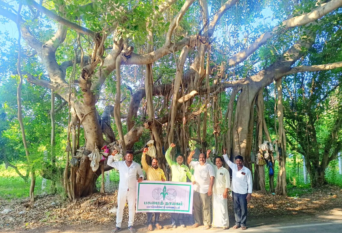 மதுராந்தம் அருகே 214 மரங்களை வெட்டுவதற்கு பசுமைத்தாயகம் எதிர்ப்பு...'