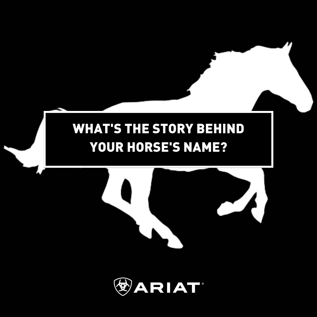 What's the story behind your horse's name?