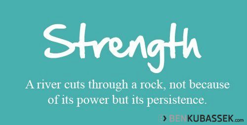 KNOWGOGROW tweet media