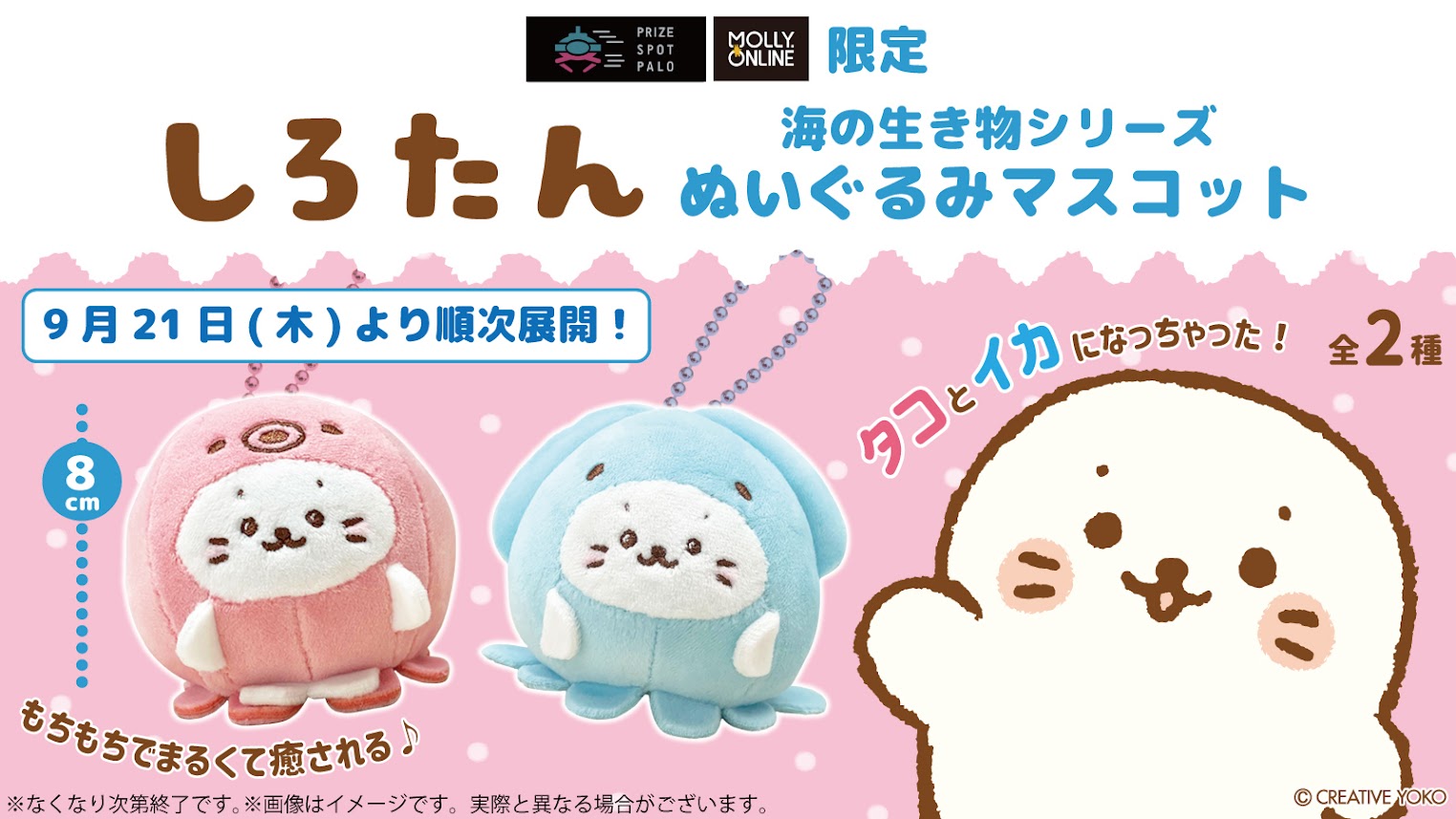 Amazon.co.jp: しろたん 海の生き物シリーズ タコ イカ BIG