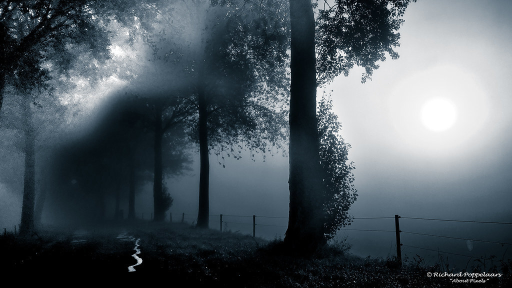About_Pixels's tweet photo. Met wat #mist is het Zuid-Hollandse landschap op @OpVoornePutten een fotografische speeltuin.
© Richard Poppelaars / #AboutPixels (19 Sep 2017) / #dyke #rural @ZHLandschap / #Landscape at #polder in #Zwartewaal #VoorneaanZee #VoornePutten #SouthHolland … https://t.co/nHbCFfJCi7 https://t.co/aEgb9dR0uA