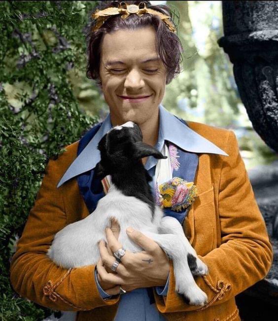 sallymeetsharry's tweet image. This shoot will always be elite 🤩