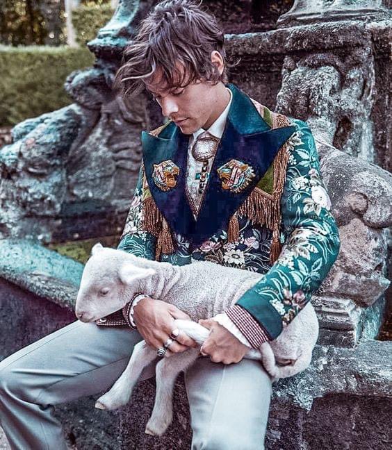 sallymeetsharry's tweet image. This shoot will always be elite 🤩