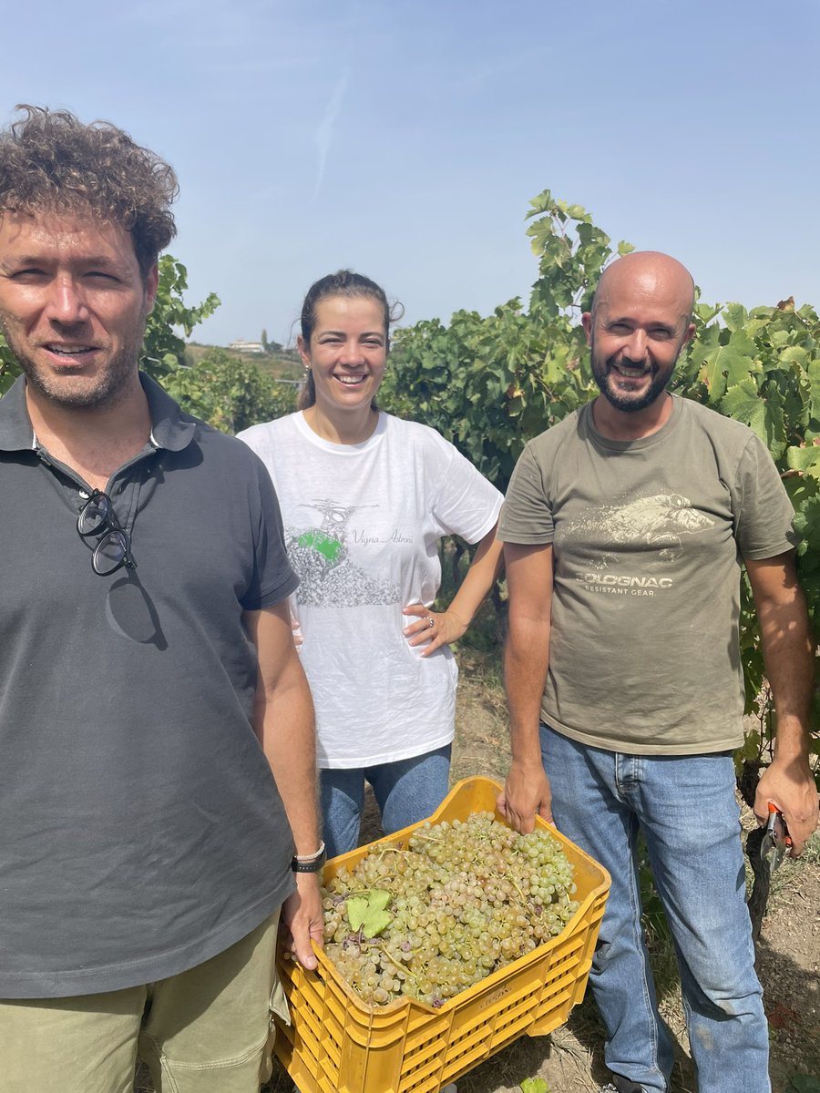 CANTINE ASTRONI tweet media