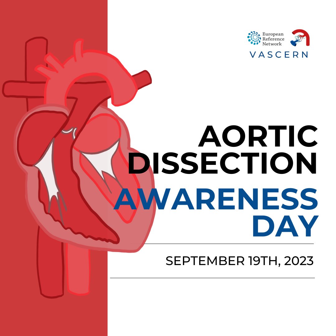 🔵It's Aortic Dissection Awareness Day! We’re shining a light on Heritable Thoracic Aortic Diseases such as #Marfansyndrome & #LoeysDietz syndrome. Early detection and management can save lives. 

Learn more👉bit.ly/3t4YHa8
#AorticDissection #AortaEd #AortaSupporta