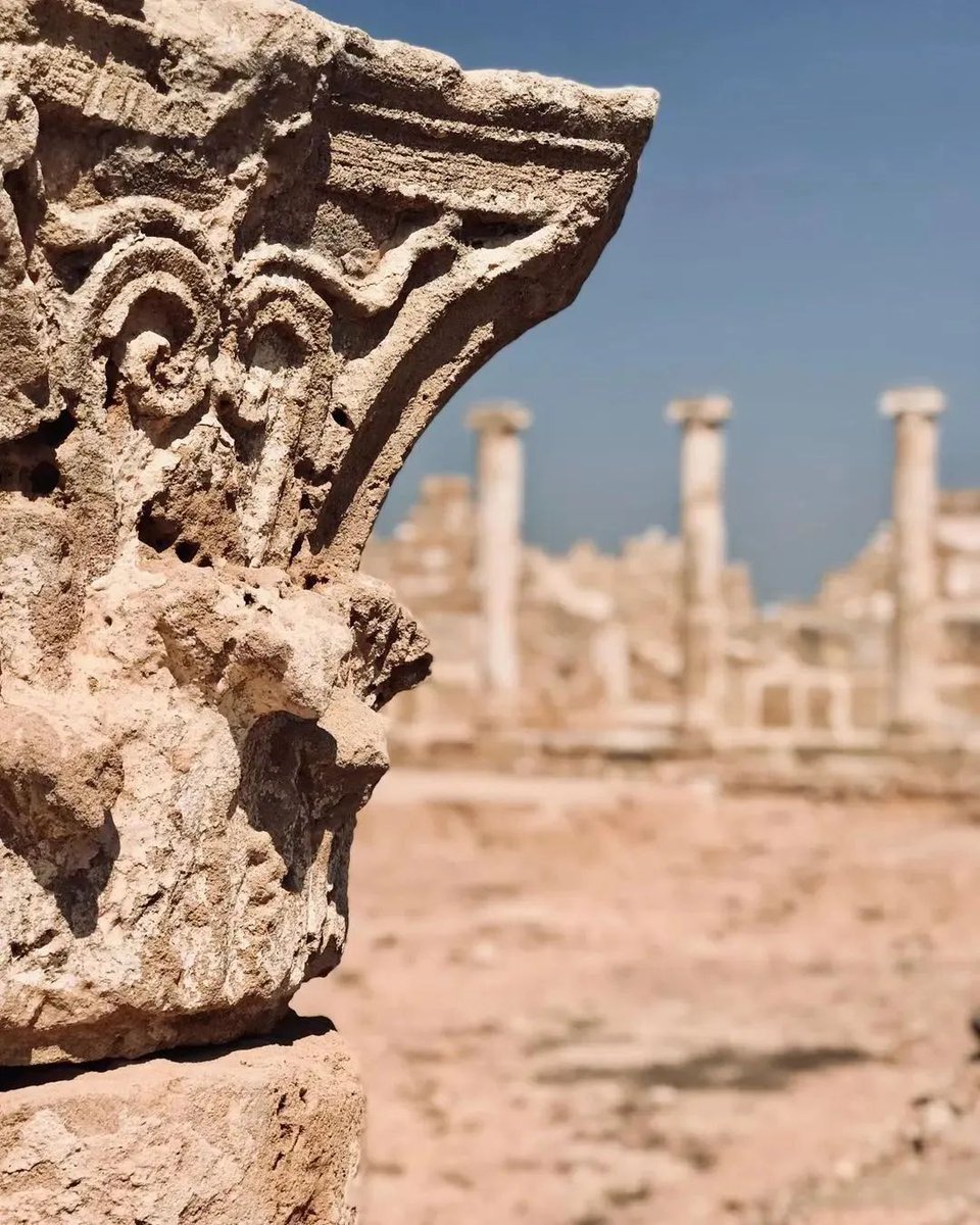 CyprusAlive's tweet photo. The Archaeological Park of Kato Pafos (Paphos) is one of the most important archaeological sites of Cyprus and has been included in the UNESCO World Heritage Sites list since 1980. 🏛️

📸 By: artinthebigcity [IG]

#Cyprus #Pafos https://t.co/vDDVBVDOL3