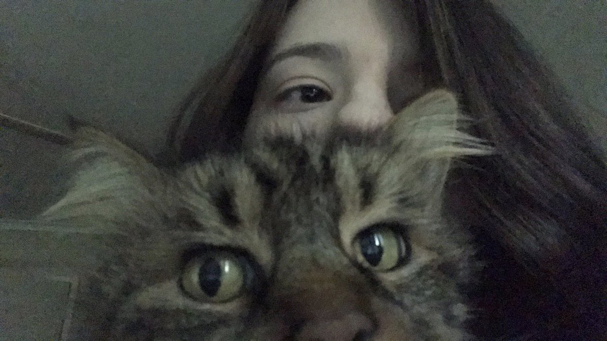 Almost 16 years of being my best friend, I will never find another cat like her. She was the sweetest cat ever, I’m heartbroken. I didn’t get to say goodbye.
I’ll always remember you Suzie.