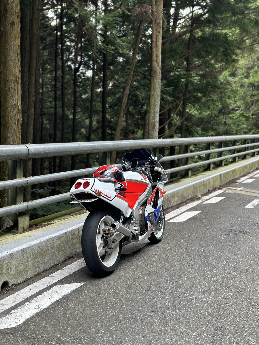 h13k_m's tweet photo. 1年ぶりに来たけど怖い
ほんま、来れる時に来なあかんね https://t.co/JJQkXHsnBs