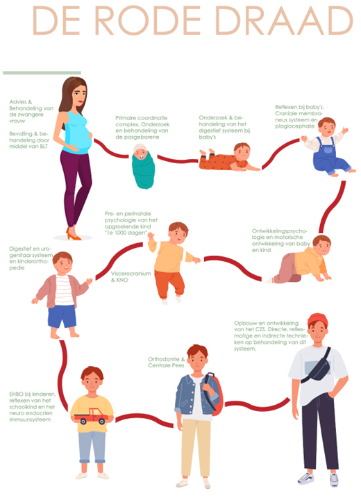 De opleiding osteopathie bij kinderen start weer dit weekend. Wat zijn de thema's die worden behandeld tijdens deze twee jarige opleiding?
pro-osteo.com
