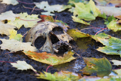 He’s had the GAC investigate his home! Hear about this crazy place! bit.ly/ITLP0714MP3