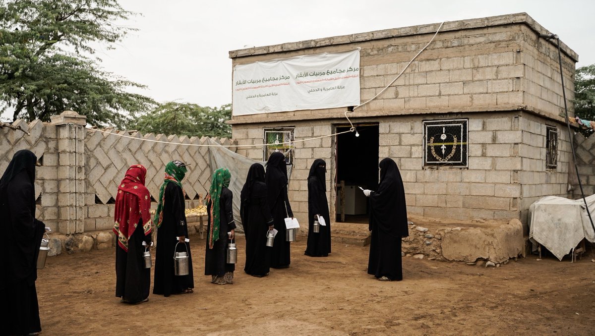 UNDPYemen's tweet photo. UNDP is empowering rural 🧕 to eradicate poverty.

W/@WorldBankMENA funding, learn how @UNDP’s #ESPECRP is teaching dairy farmers how to increase their milk production &amp; supporting collection centers where women can sell their milk at a better price.

https://t.co/sR4D0RE3eF https://t.co/ucJaMVdcDX