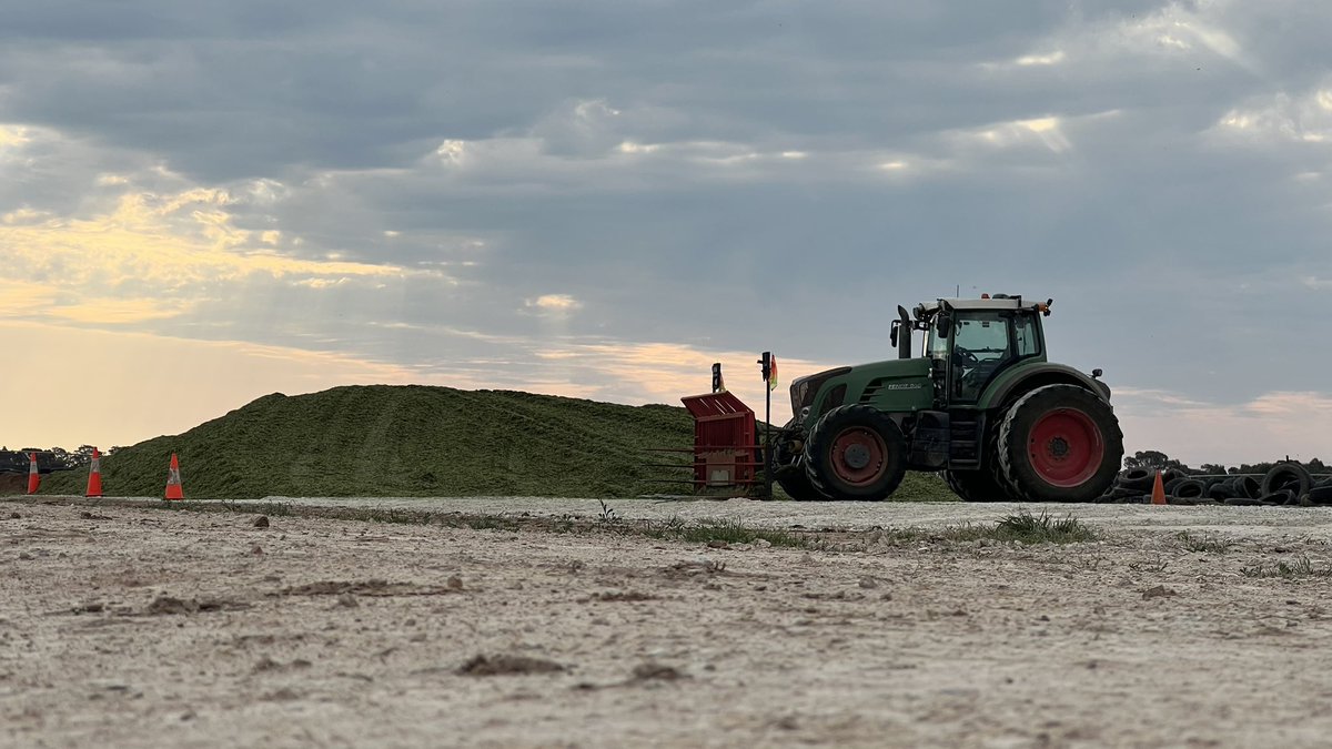 John russell🌸 tweet media