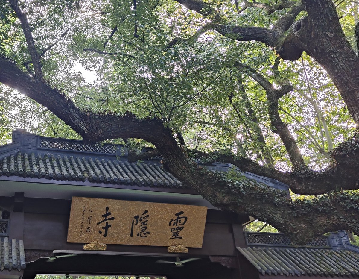 愿所求皆如愿