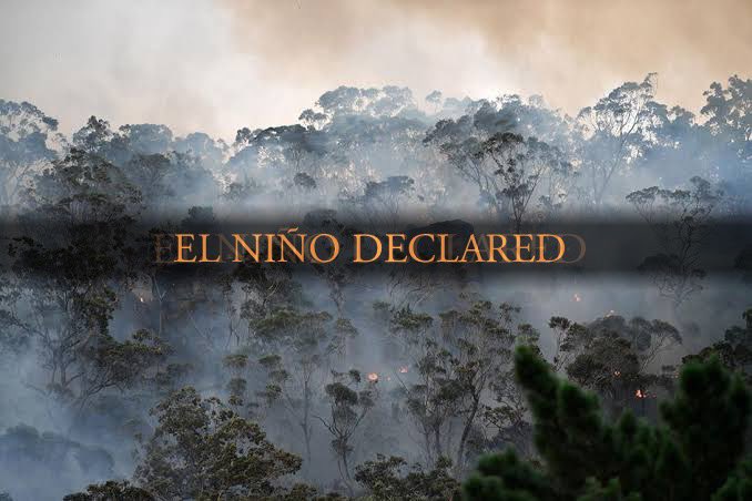 Alex Sol Watts (@solwat) on Twitter photo 