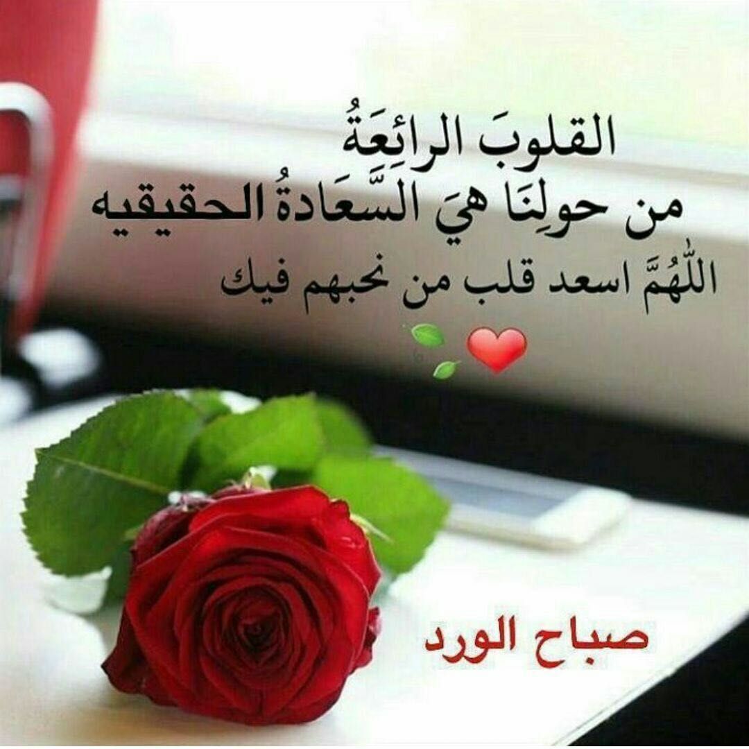 صباح القلوب الرائعة 
#صباح_الخير 
..