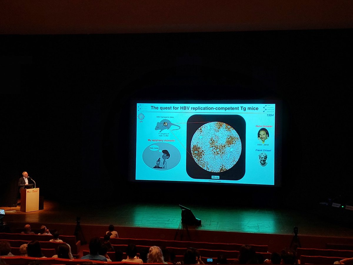Great talk of Prof. Luca Guidotti for his Award Lecture at #HBVmeeting in #kobe. Incredible opportunity to hear about the generation of the mice that we are currently using to study HBV. Inspired by his passion for science! Also funny and moving introduction by @iannaconelab
