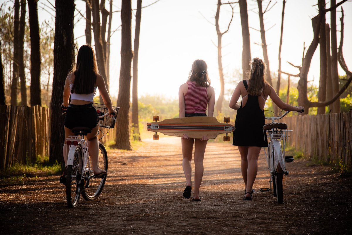 Les Landes (@Les_Landes) / Posts / X