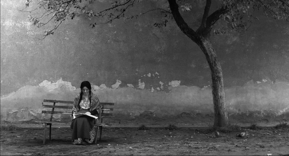 "Kimse anlamaz beni
Ağaçlardan ve sulardan gayri,
Dile geliyor düşüncelerim
Her şeyi, her şeyi nasıl kaybettiğim,
Her şeyin nasıl benden alındığı
Gençlik yıllarımla birlikte"

-Bronislawa Wajs 

🎬Taş Bebek (2013) Krzysztof Krauze &amp; Joanna Kos-Krauze