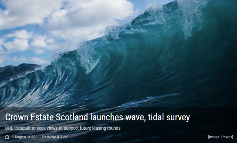 WaveRoller tweet media