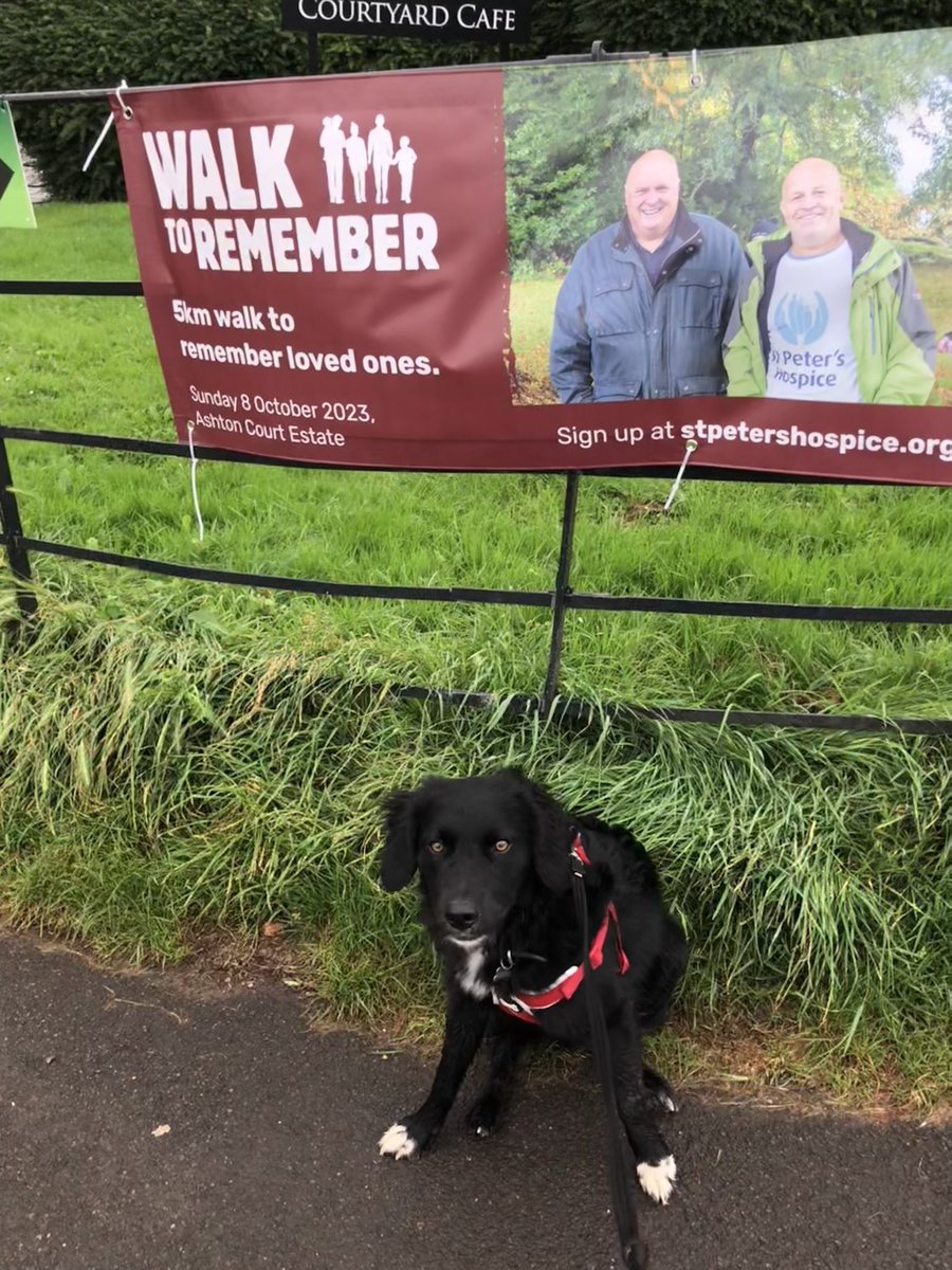 Hayleyali5's tweet photo. Dexter checked out the #WalkToRemember route this morning, says it’s pawesome. Join him on 8 Oct: 

https://t.co/R65frKwy58 https://t.co/GreTkl7Dkx