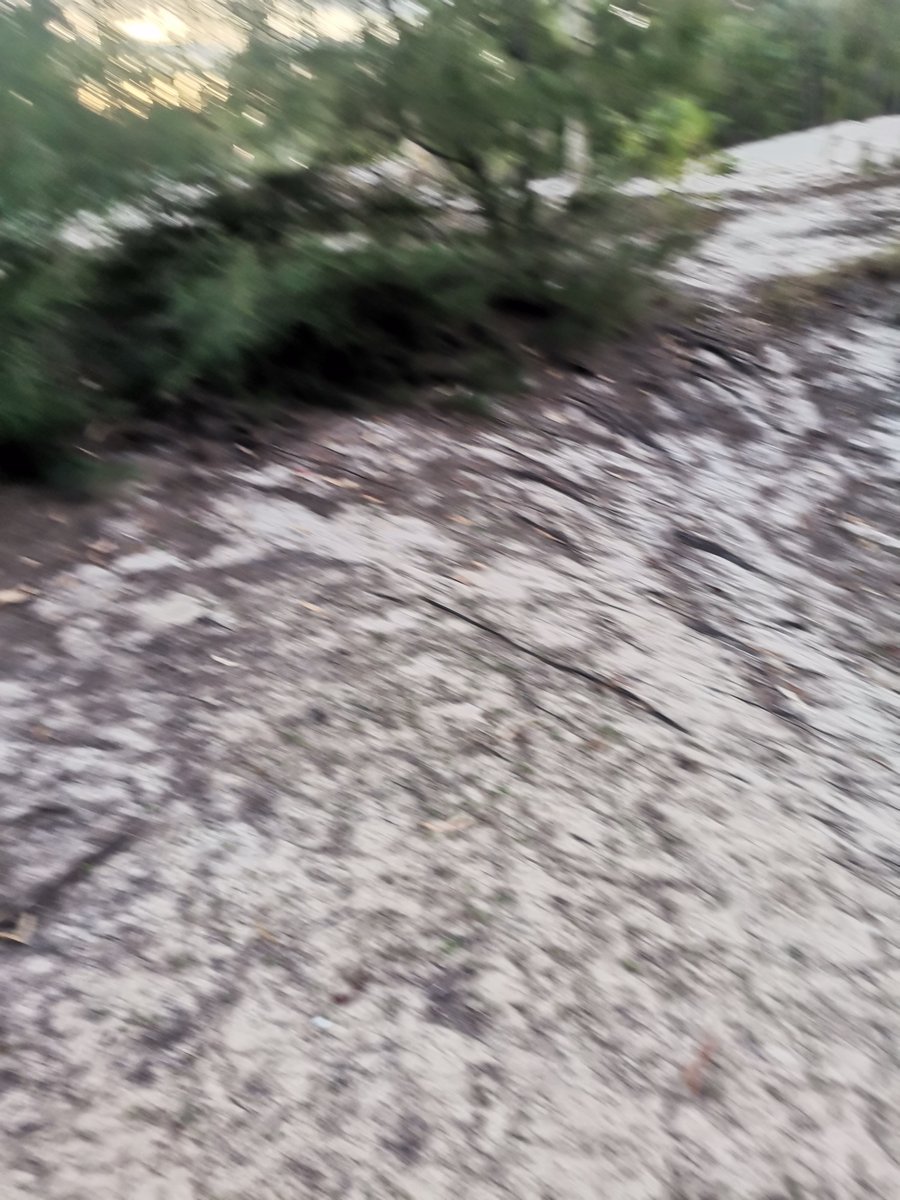 Co nghe tieng ve keu sau long?
