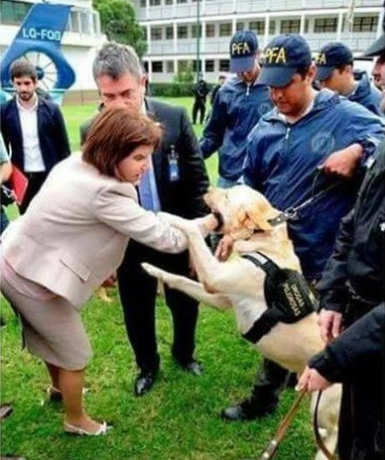 Antonio27591643's tweet photo. 𝑵𝒊 𝒍𝒐𝒔 𝑷𝒆𝒓𝒓𝒐𝒔 𝒍𝒂 𝒒𝒖𝒊𝒆𝒓𝒆𝒏 🐕
Insólito: a Patricia Bullrich la mordió un perro de la policía.... los animales saben...#FelizMartes #BuenMartes https://t.co/uizNSXCfQq