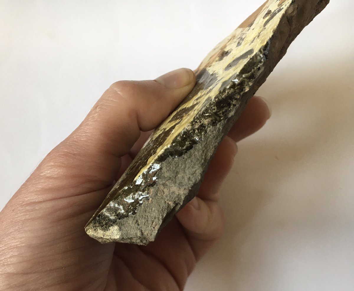 A #16thCentury floor tile with brushed slip decoration from Hemyock, #Devon. The glaze has run onto the broken edge, showing that this is a waster #TilesOnTuesday