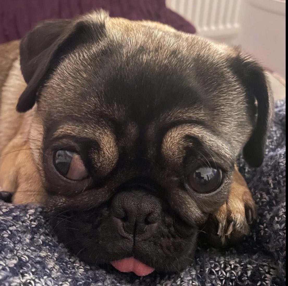 Betty’s just too damn cute ❤️