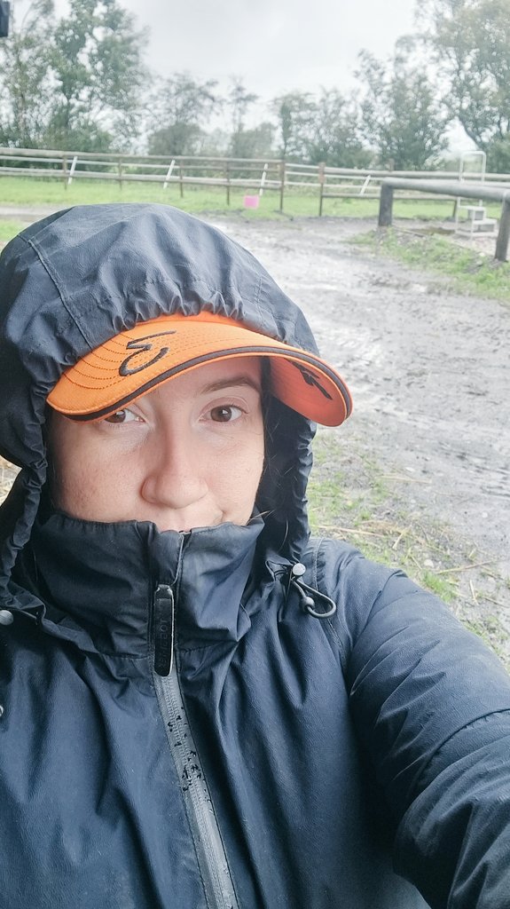 "Hey Pip how is today's weather treating you?"