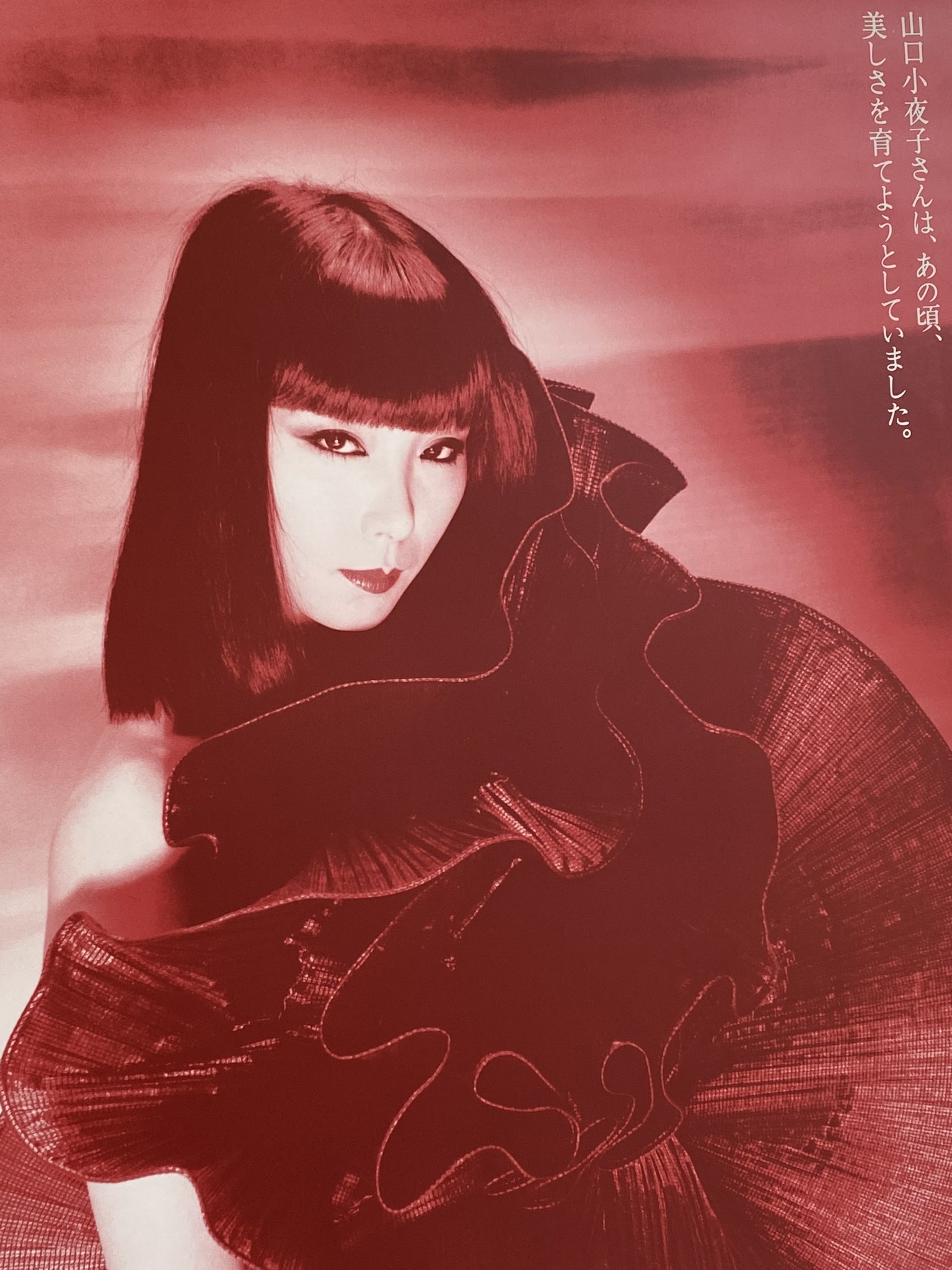山口小夜子 ポスター 横須賀功光 写真展 (山口小夜子「月 山口小夜子 ポスター 横須賀功光 写真展 (山口小夜子「月
