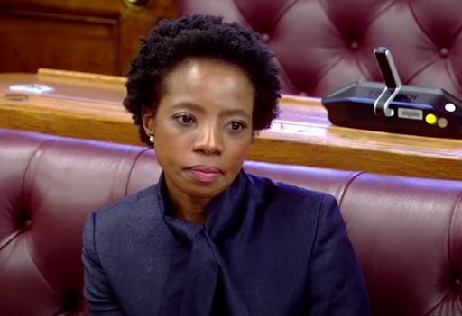 _Mcebo_'s tweet image. They won&apos;t make her #PublicProtector after all the boot licking 😂.