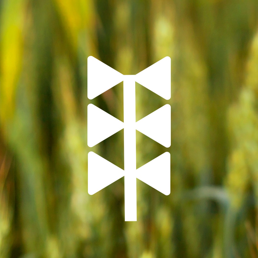 Cuando es un buen momento para un lanzamiento ?
#agro #inversiones