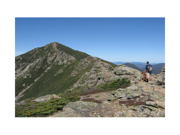 MT Washington Valley tweet media